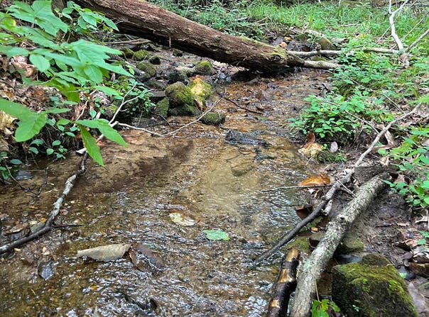 3.85 Ac Old Aska Road S, Blue Ridge, GA 30513