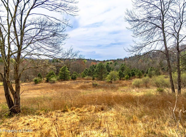Old Mill Road, Ringtown, PA 17967