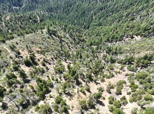 2510 FS Rd, Hyampom, CA 96046