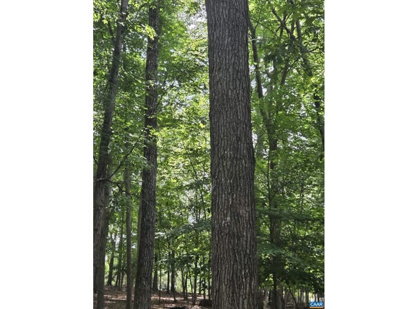 85 LAGUNA RD, Palmyra, VA 22963