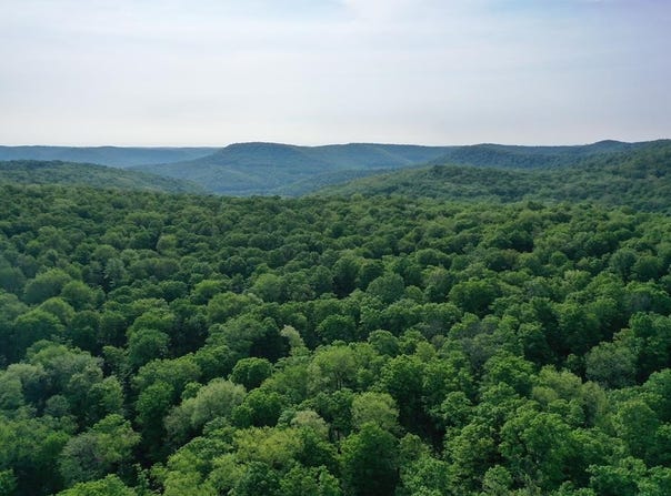 000 Post Hollow Road, Millport, PA 16748