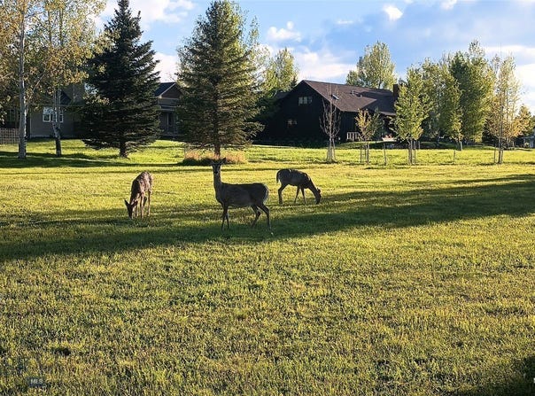 E Graf Street lot: 129, Bozeman, MT 59715