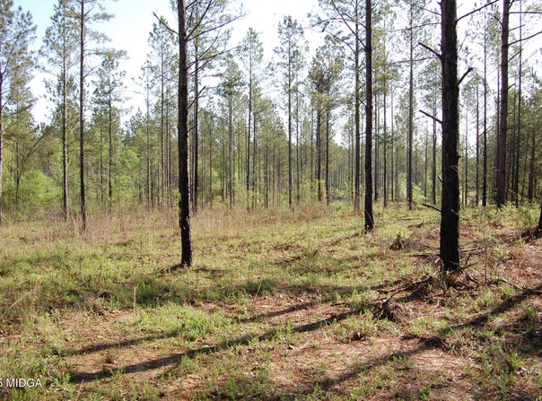 000 Watson Road East TRACT 11, Forsyth, GA 31029