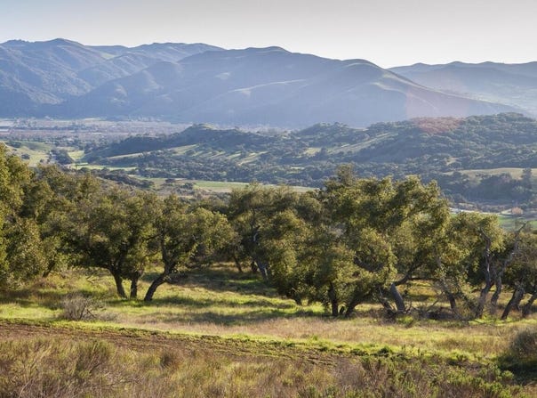 Cougar Ridge Road, BUELLTON, CA 93427