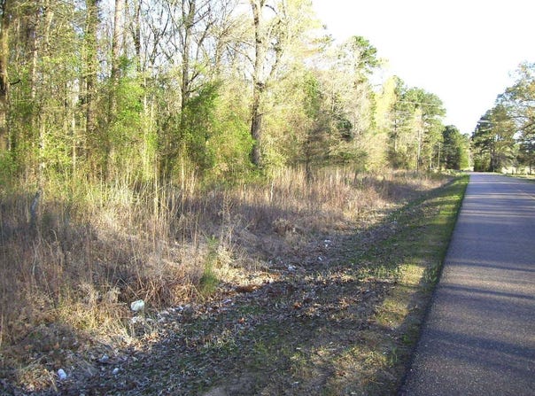 TBD LR 29, Ashdown, AR 71822