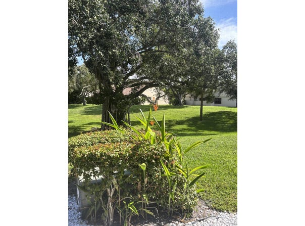 479 Hardwood Place, Boca Raton, FL 33431