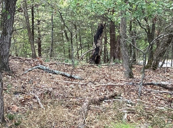 Oak Leaf Circle lot: 93, Garfield, AR 72732