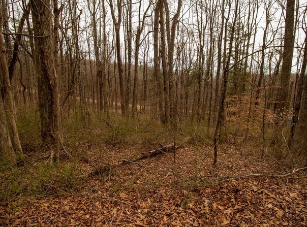 Scotch Pine Dr lot: 356, Copper Hill, VA 24079
