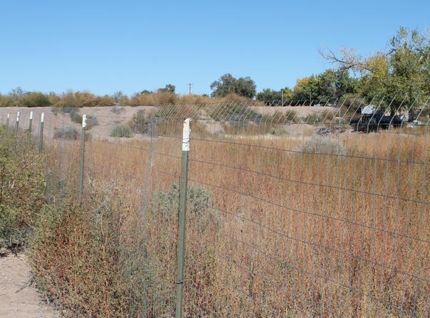Ebler, Socorro, NM 87801