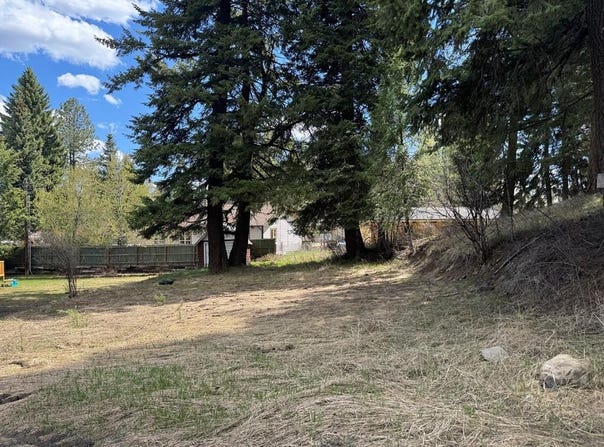 703 Mission Street, McCall, ID 83638