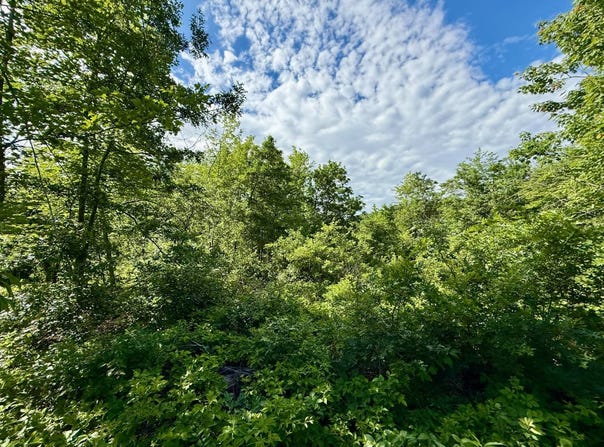 Lot 3 810th Street, Sand Creek, WI 54765