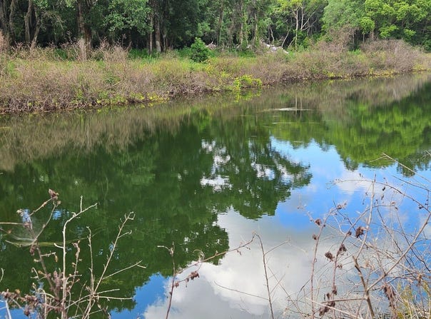 BURNSED ROAD, PIERSON, FL 32180