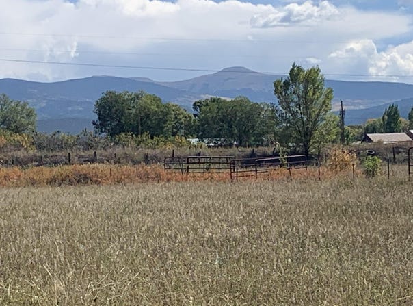 Roybal Road, Rio Lucio, NM 87553