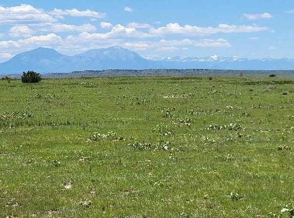 Turkey Ridge E, Walsenburg, CO 81089