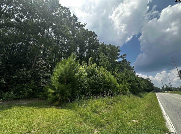 0 Methodist Park Road, West Columbia, SC 29170