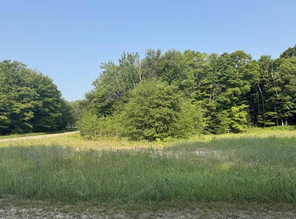 Hollow Dr, McMillan, MI 49853