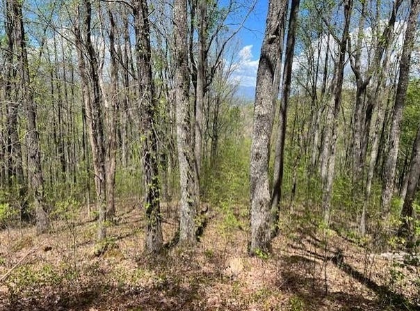 Lot 86 Rocky Knob Estates, Young Harris, GA 30582