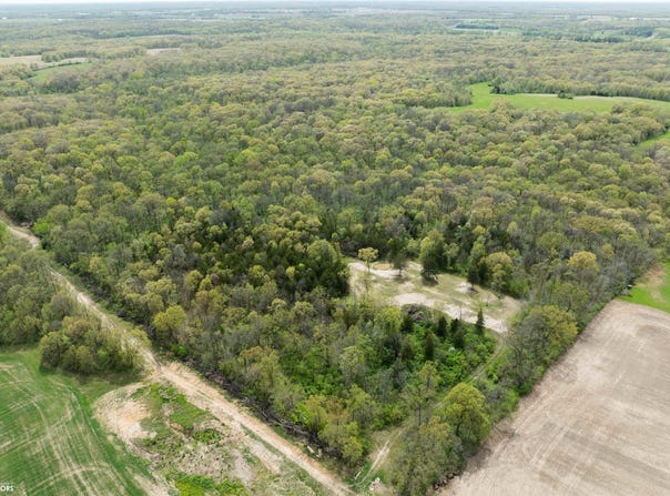 Tbd 194th Avenue, Argyle, IA 52619