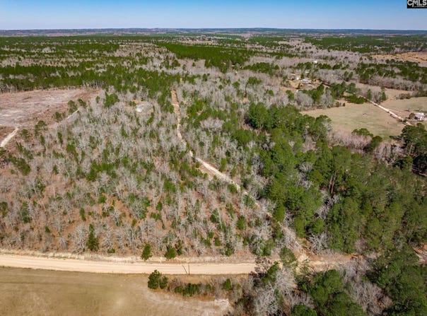 624 Senterfeit Road, Batesburg, SC 29006