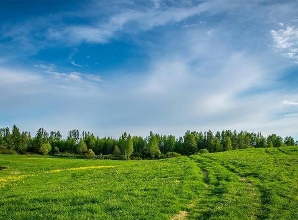 Tract B Bryant  RD, Gentry, AR 72734