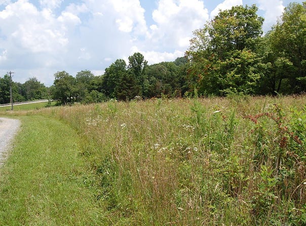 10 Laural Brook Road, Dunlap, TN 37327