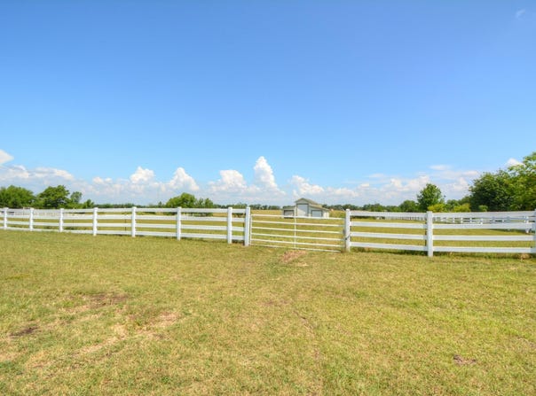 233 Courtnees WAY, Georgetown, TX 78626