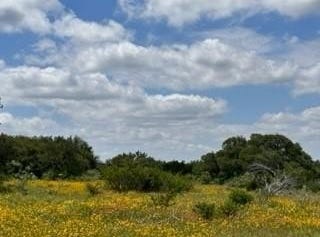 Tbd Fm 2492 & CR 103, Brownwood, TX 76801