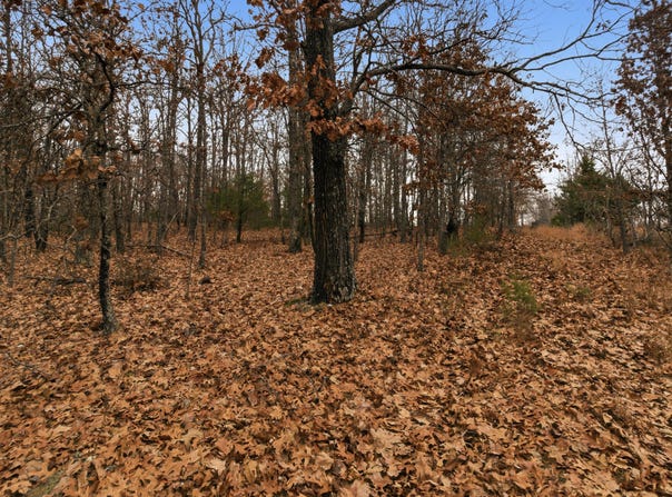 Old Highway 60, Mountain View, MO 65548