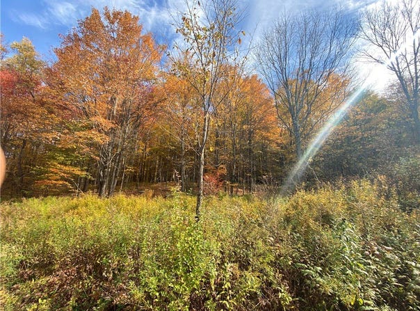 535 Scutt Mtn. Road, Stamford, NY 13739