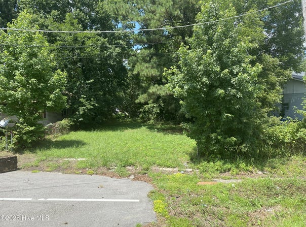 1207 Lincoln Street SE, Wilson, NC 27893