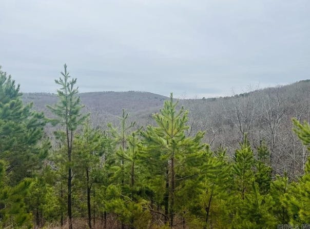 Dodd Mountain Road, Clinton, AR 72031