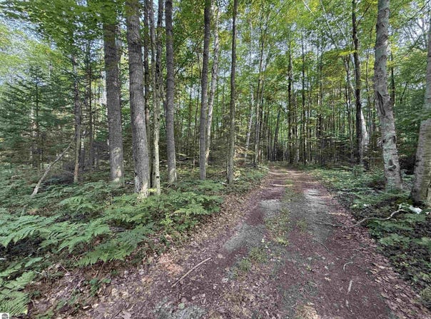 S Poor Farm Road, Greenbush, MI 48738