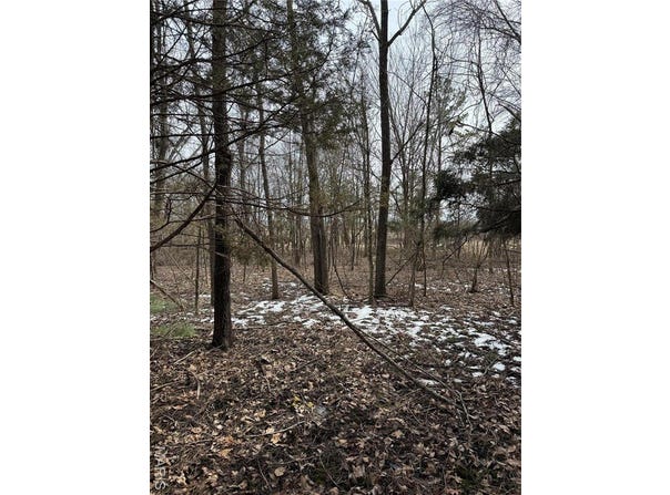 0 Mallard Road Tract A, Licking, MO 65542