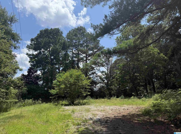 141 HIGHWAY 231 lot: 1.5, VINCENT, AL 35178