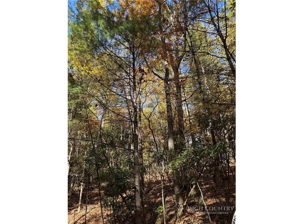 W Seventy Sixth Drive, West Jefferson, NC 28694