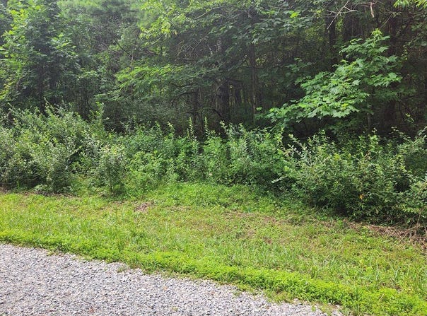 Lot 38 Hickory Hollow Ln, Copper Hill, VA 24079