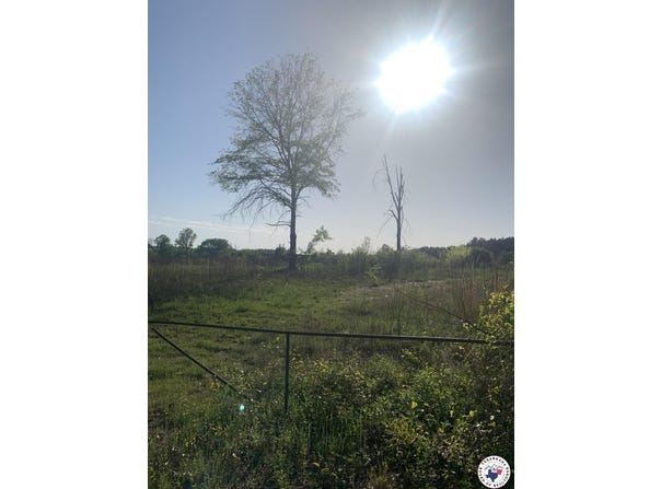 4.94 Acres Mount Olive, Texarkana, AR 71854