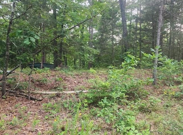Elgin Rd, CAMDEN, TN 38320