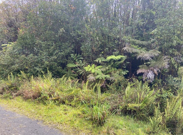 ROAD 4, Volcano, HI 96785