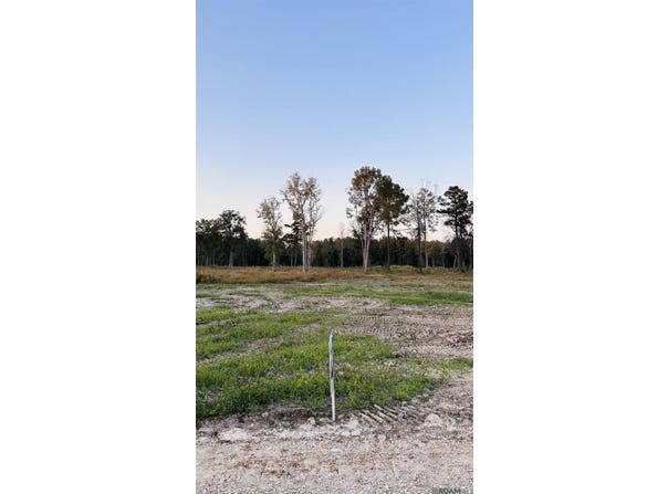 16425 Peacock Drive, Walker, LA 70785