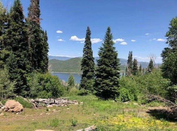 Tbd Overlook Drive, Collbran, CO 81624