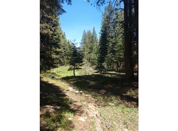 17249 Northwoods Boulevard, Truckee, CA 96161