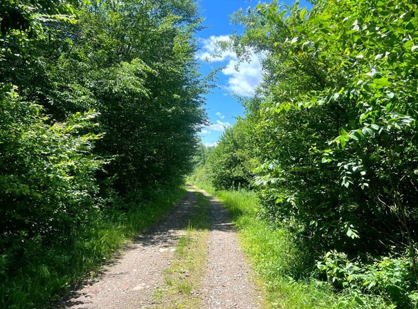 Yorkland Rd lot: 8, Annsville, NY 13471