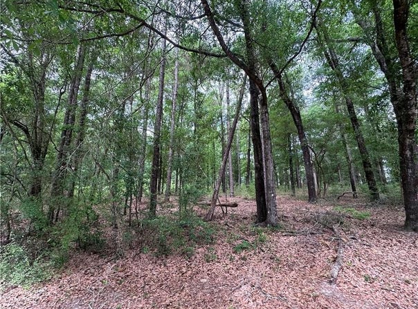 7515 Lambeth Drive, Saraland, AL 36571