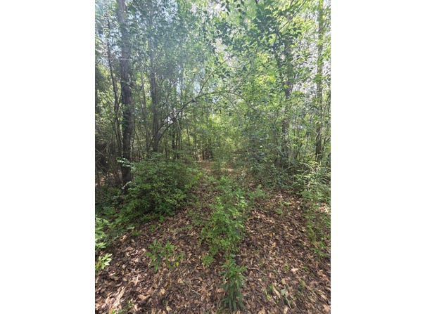 1004 Zone Road, Magnolia, MS 39652