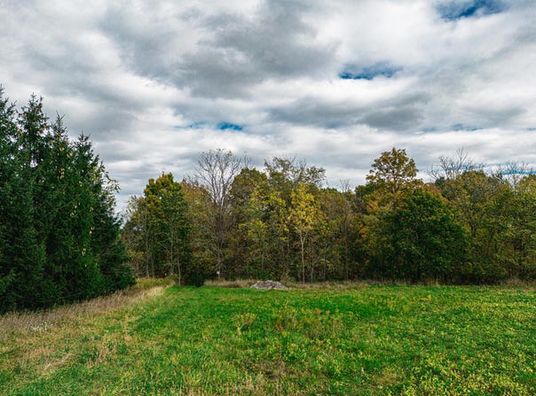 Macon Road, Saline, MI 48176