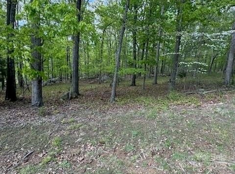 266 Rocky Cove Lane, Denton, NC 27239