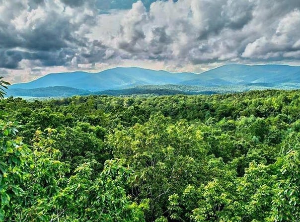 19.44 Mt Mcgurder Road, Ellijay, GA 30536