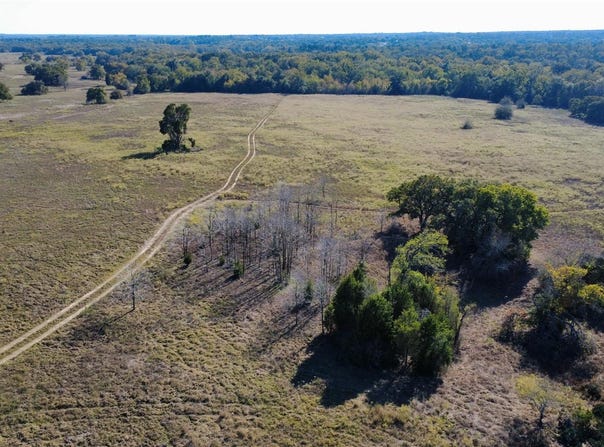 196 Brinkley Ln, Elgin, TX 78621