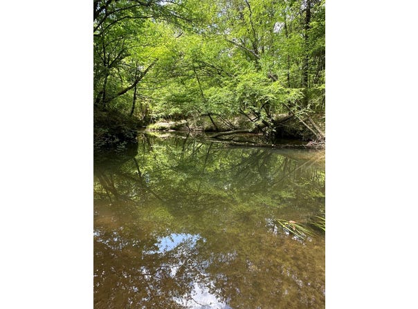 000 hwy 438, Mt Hermon, LA 70450